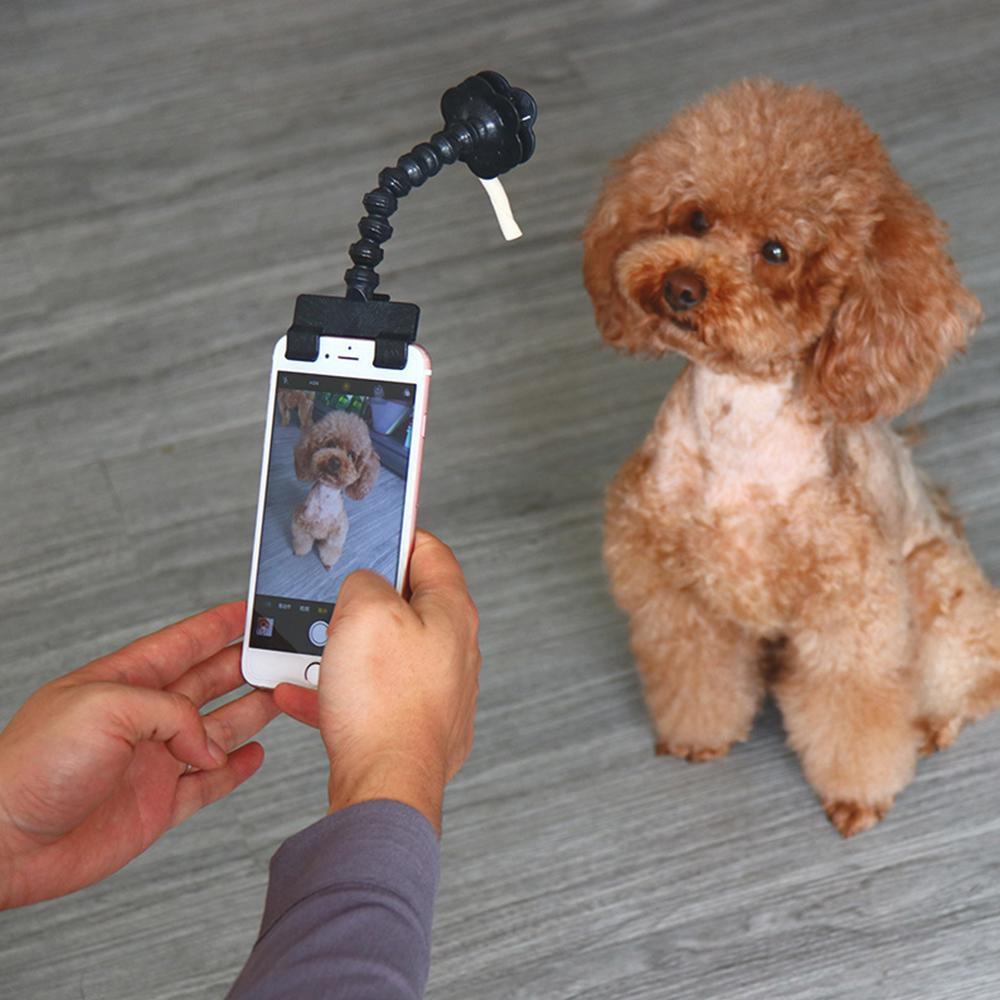 Schönes Haustier Selfie-Stick