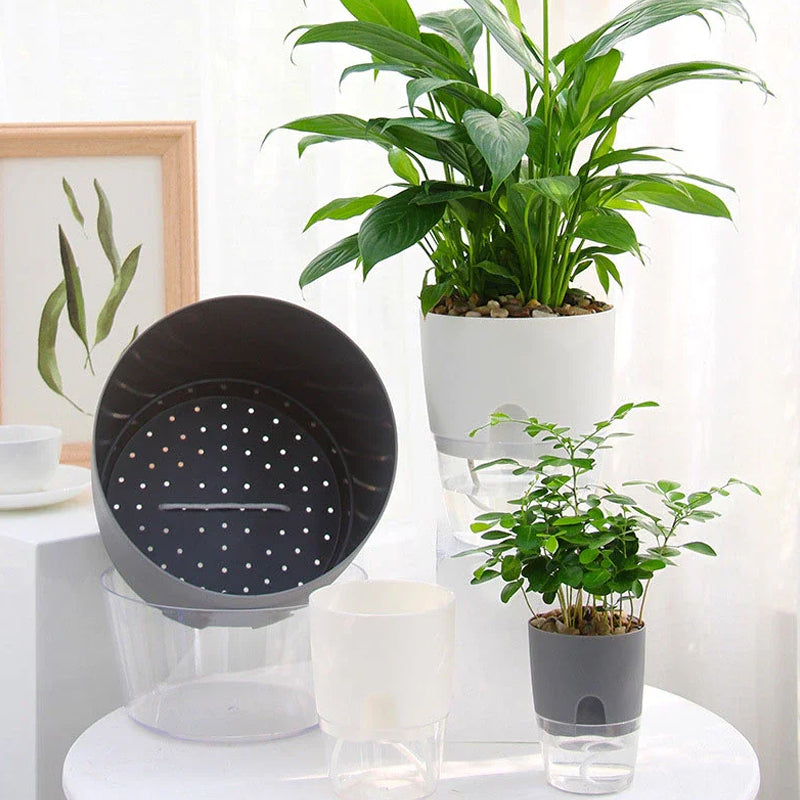 Selbstbewässernder Blumentopf