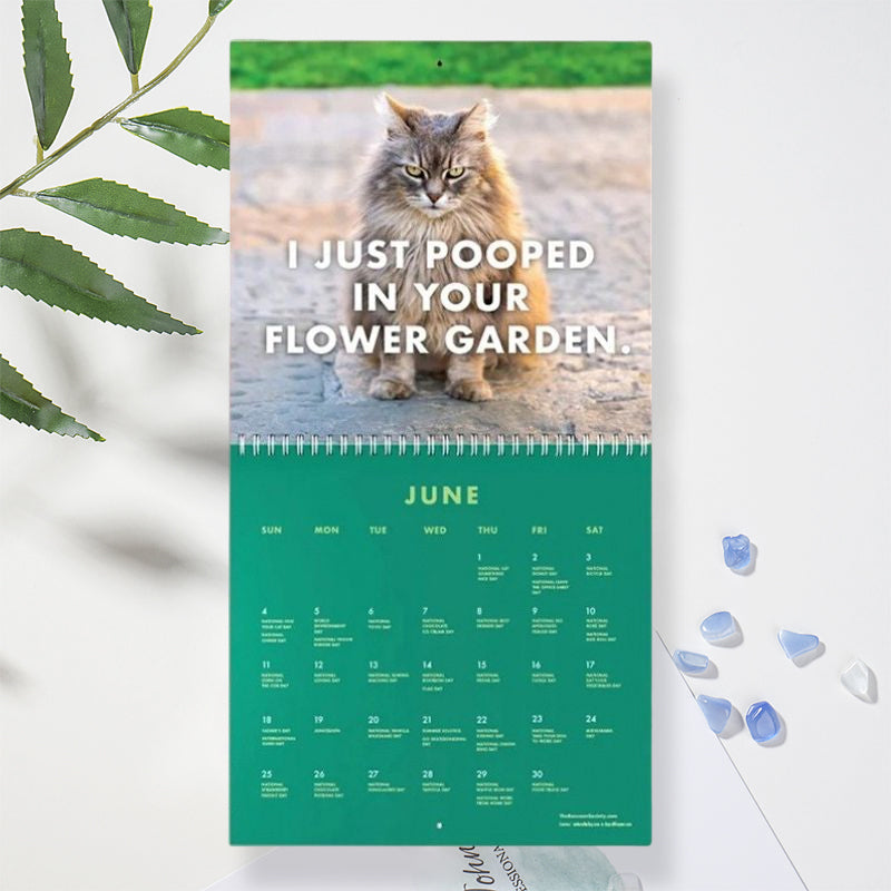 😾2023 Angepisste Katzen Kalender
