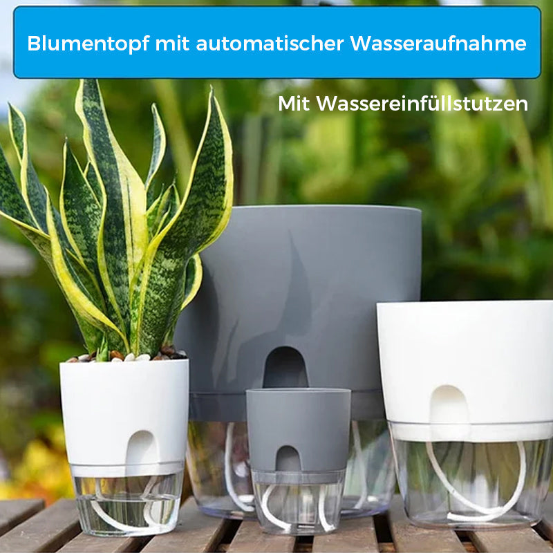 Selbstbewässernder Blumentopf