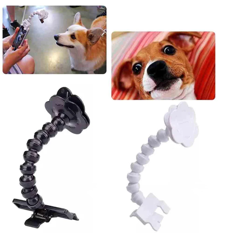 Schönes Haustier Selfie-Stick
