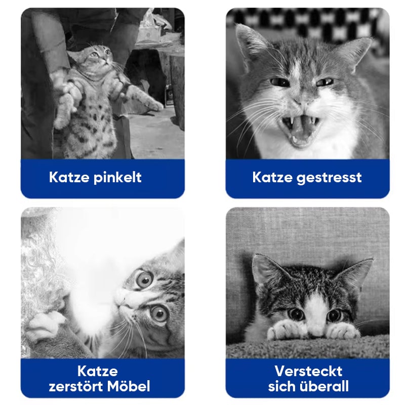 Pheromon-Diffusor-Set zur Beruhigung von Haustieren (Katze & Hund)