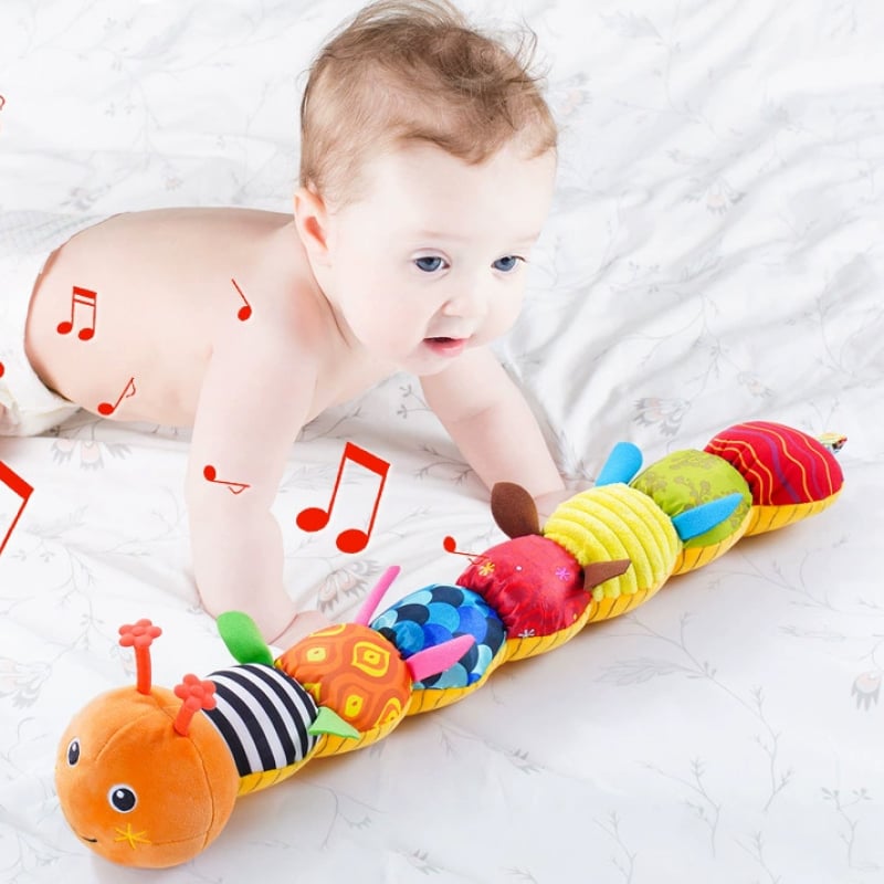 Raupen-Musikspielzeug