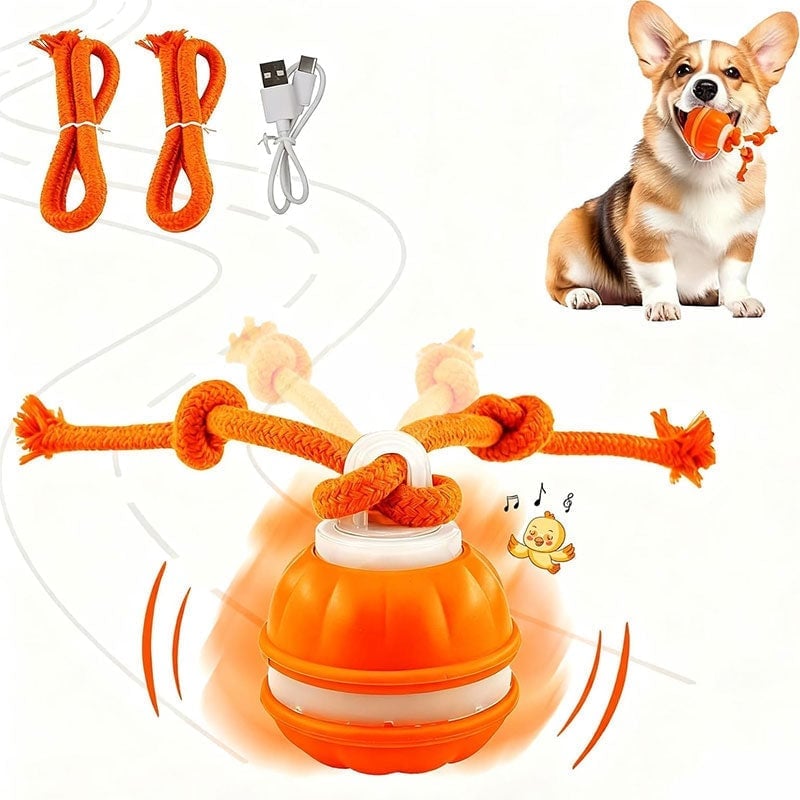 Interaktiver intelligenter rollender Hundeball