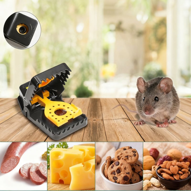 Eaglever Reusable Mechanical Snap Trap