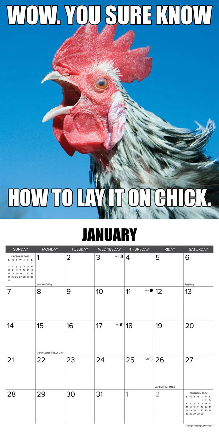 😂Kalender mit lustigen Tieren für 2024 |Inspirierter Bauernhof-Humor