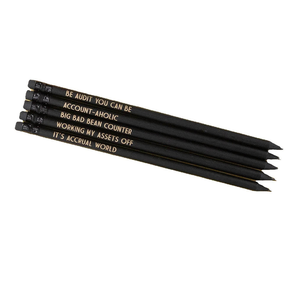 Professionelles Bleistiftset (5 Stück)