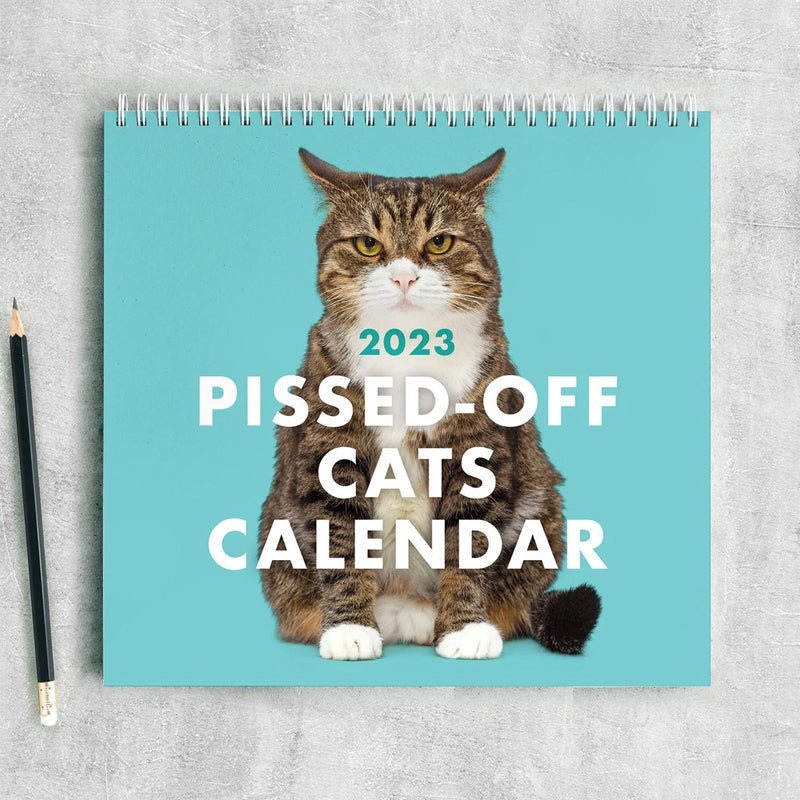 😾2023 Angepisste Katzen Kalender