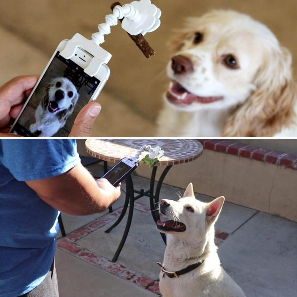 Schönes Haustier Selfie-Stick