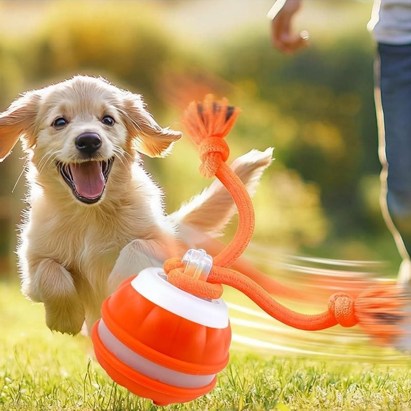 Interaktiver intelligenter rollender Hundeball