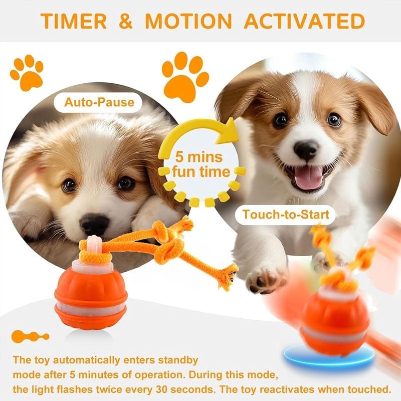 Interaktiver intelligenter rollender Hundeball
