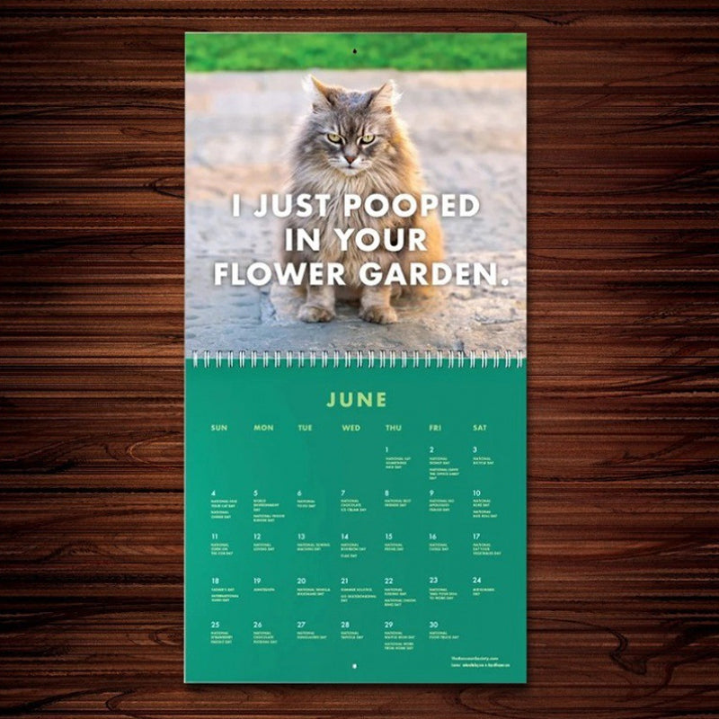😾2023 Angepisste Katzen Kalender
