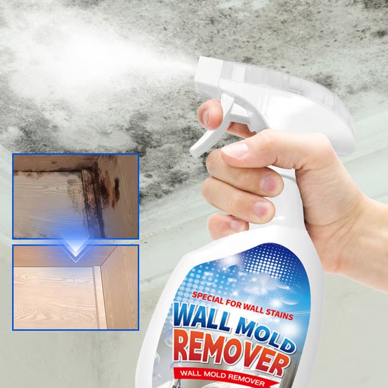 Schnell wirkendes Anti-Schimmel-Wandreinigungsspray