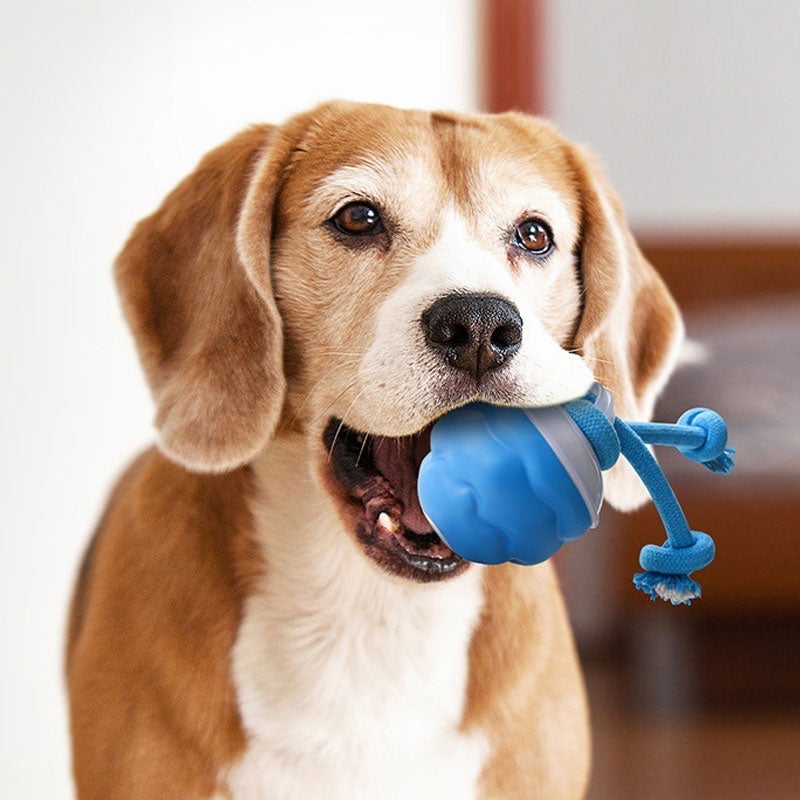 Interaktiver intelligenter rollender Hundeball