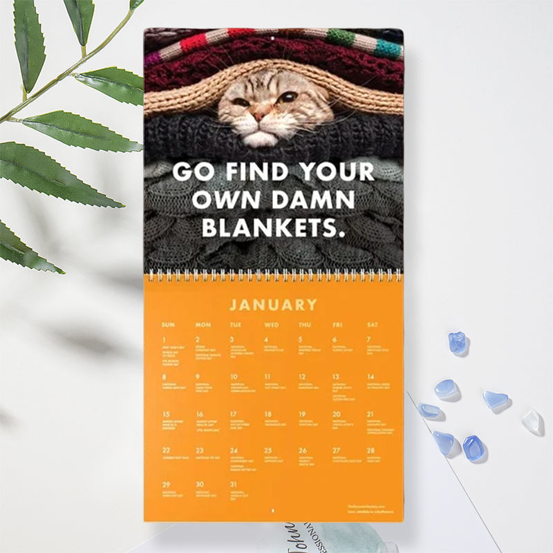 😾2023 Angepisste Katzen Kalender