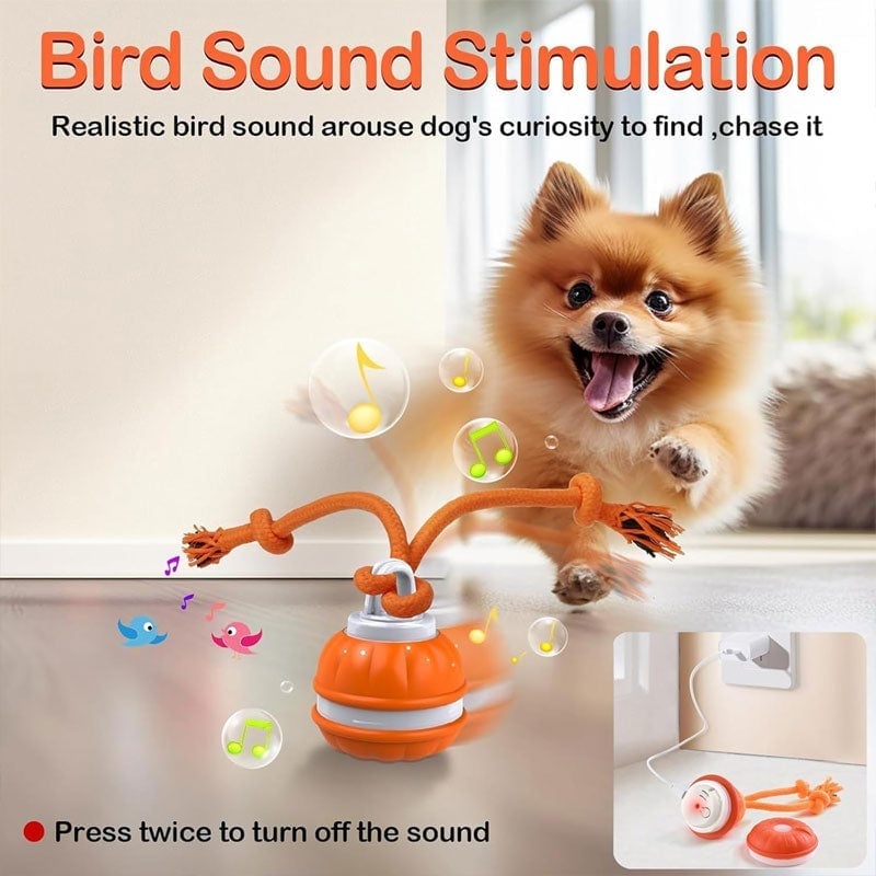 Interaktiver intelligenter rollender Hundeball