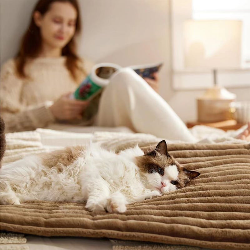 🐾Selbsterwärmende Matte für Katzen und kleine Hunde