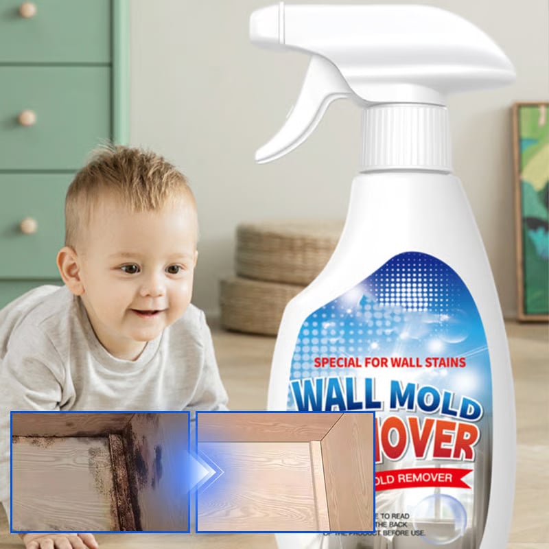Schnell wirkendes Anti-Schimmel-Wandreinigungsspray