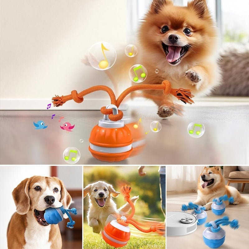 Interaktiver intelligenter rollender Hundeball