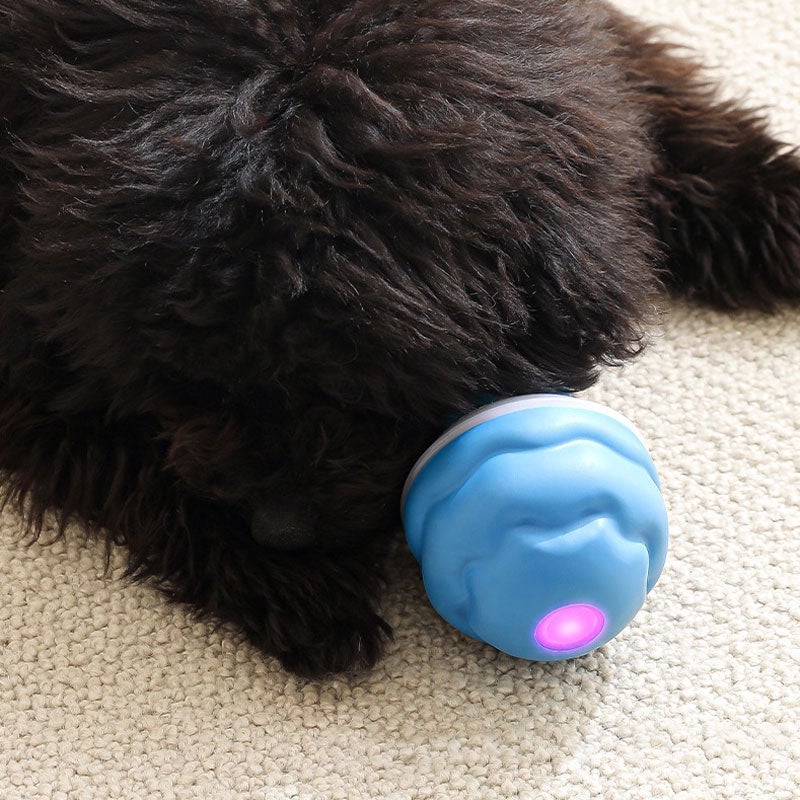 Interaktiver intelligenter rollender Hundeball