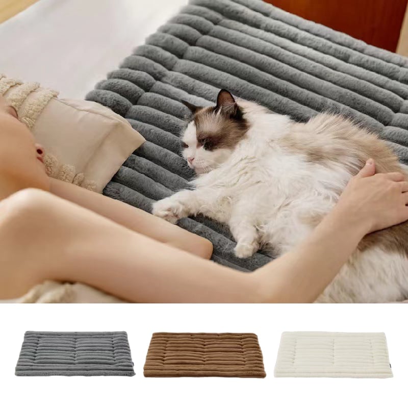 🐾Selbsterwärmende Matte für Katzen und kleine Hunde