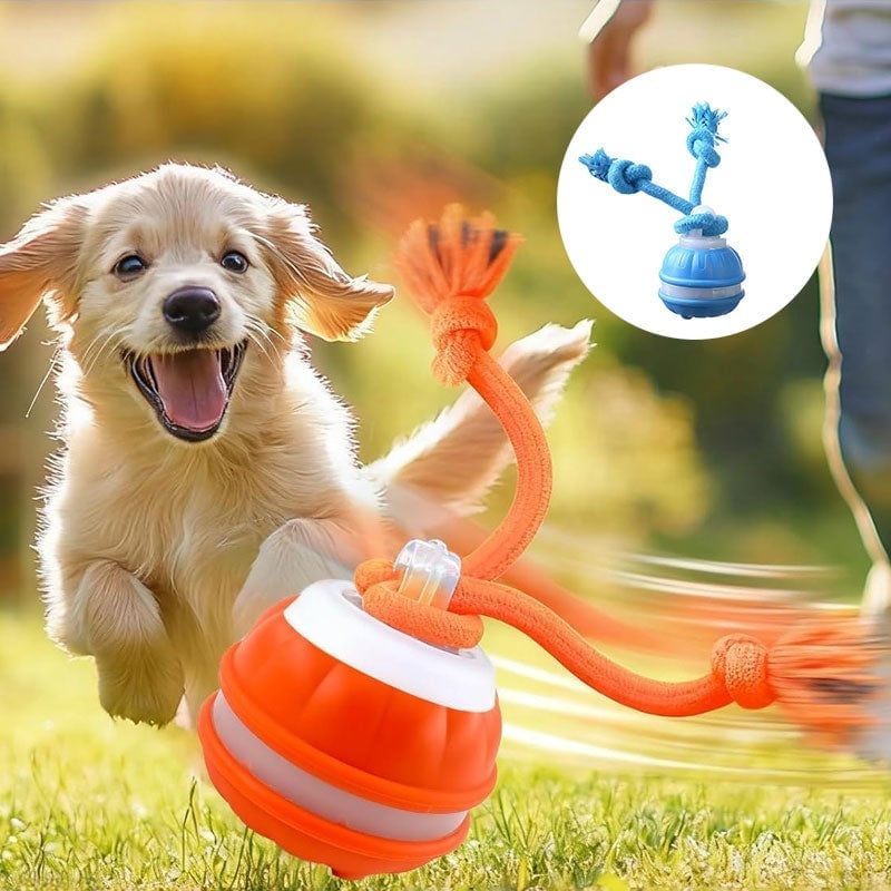 Interaktiver intelligenter rollender Hundeball
