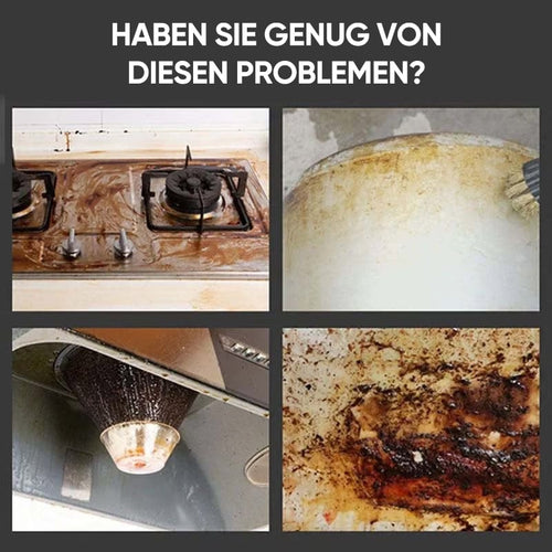 2500W Handgeführter Hochtemperatur-Dampfreiniger mit Druck