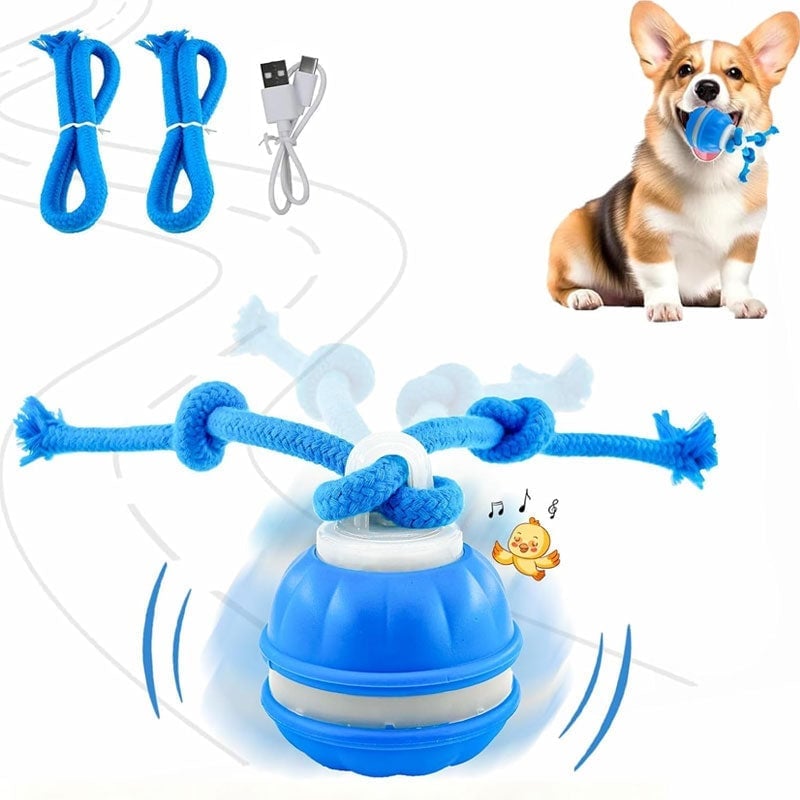 Interaktiver intelligenter rollender Hundeball